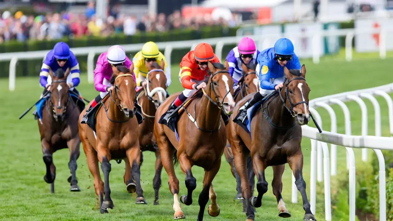 Gruppe von Jockeys auf Pferden im Flachrennen-Finish