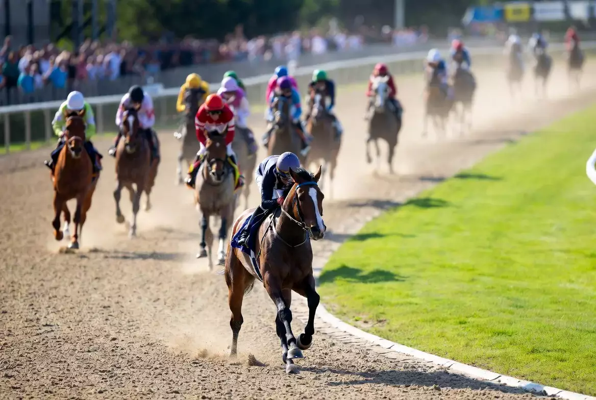 Führendes Pferd mit Jockey vor verfolgendem Feld